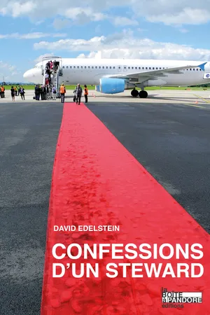 Confessions d'un steward