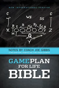 NIV, Game Plan for Life Bible_cover