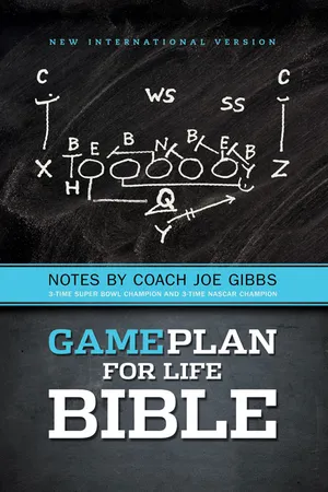 NIV, Game Plan for Life Bible