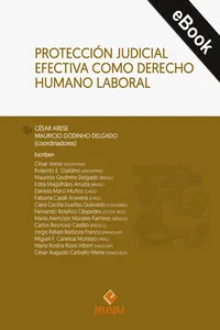 Protección judicial efectiva como derecho humano laboral