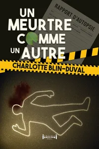 Un meurtre comme un autre_cover