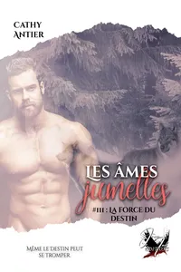 Les âmes jumelles - Tome 3_cover