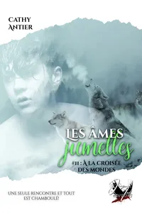 Les âmes jumelles - Tome 2_cover