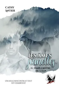 Les âmes jumelles - Tome 1_cover