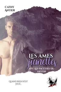 Les âmes jumelles - Tome 4_cover