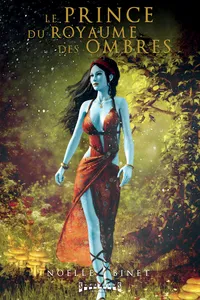 Le Prince du Royaume des Ombres - Tome 1_cover
