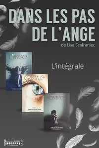 Dans les pas de l'ange_cover