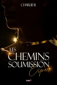 Les chemins de la soumission_cover