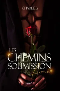 Les chemins de la soumission - Tome 2_cover