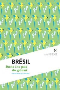Brésil : Dans les pas du géant_cover