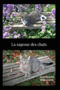 La sagesse des chats_cover