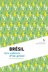 Brésil : Les colères d'un géant_cover