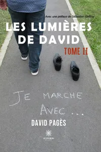 Les lumières de David - Tome 2_cover