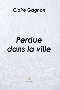 Perdue dans la ville_cover