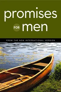 NIV, Promises for Men_cover
