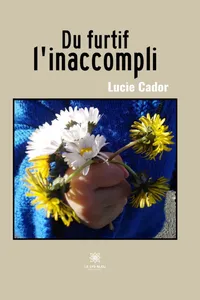 Du furtif l'inaccompli_cover