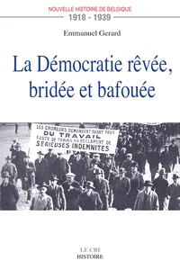 La Démocratie rêvée, bridée et bafouée_cover