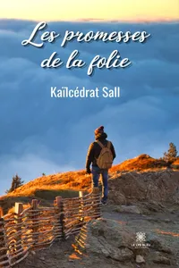 Les promesses de la folie_cover