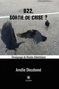 B22, sortie de crise ?_cover