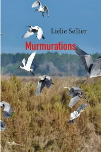 Murmurations_cover