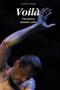 Voilà, une fausse histoire vraie_cover