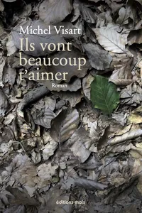 Ils vont beaucoup t'aimer_cover