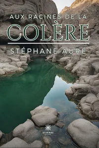 Aux racines de la colère_cover