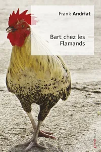 Bart chez les Flamands_cover
