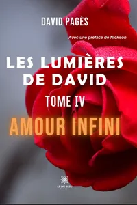 Les lumières de David - Tome 4_cover