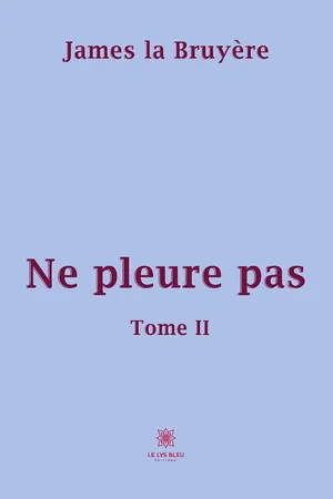 Ne pleure pas - Tome 2