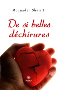 De si belles déchirures_cover