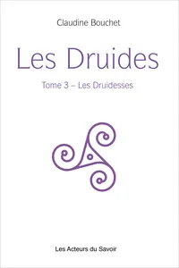 Les Druides - Tome 3_cover