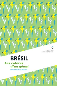 Brésil_cover