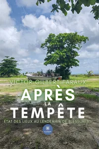 Après la tempête_cover