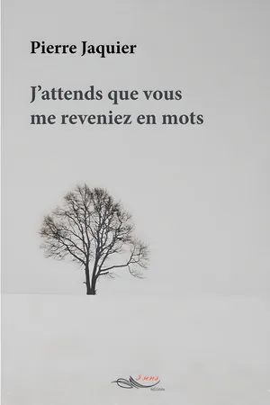 J'attends que vous me reveniez en mots