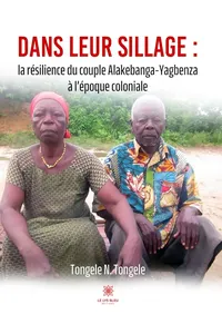 Dans leur sillage_cover