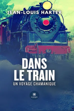 Dans le train
