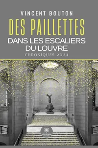 Des paillettes dans les escaliers du Louvre_cover