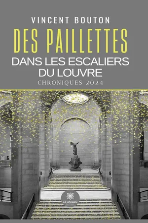 Des paillettes dans les escaliers du Louvre
