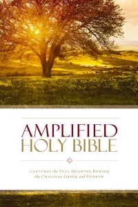 Amplified Holy Bible_cover