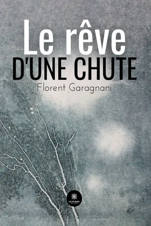 Le rêve d’une chute