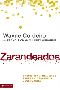 Zarandeados_cover