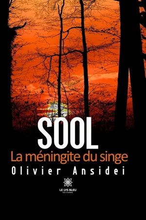 Sool
