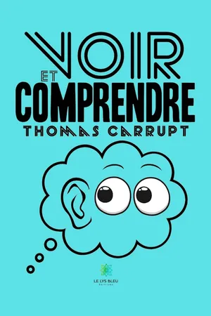Voir et comprendre