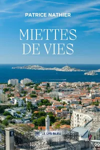 Miettes de vies_cover