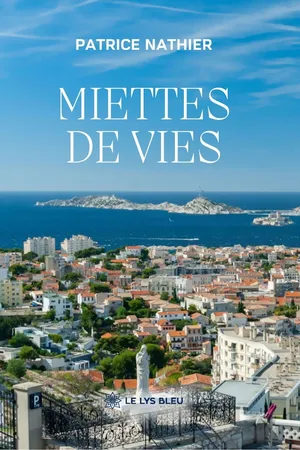 Miettes de vies