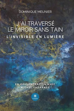 J’ai traversé le miroir sans tain