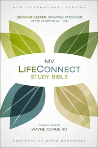 NIV, LifeConnect Study Bible_cover