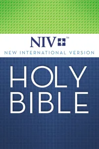 NIV, Holy Bible_cover