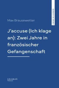 J'accuse: Zwei Jahre in französischer Gefangenschaft